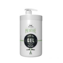 Gel Coiffant Menthe Sans Alcool Hairgum 900 Grs
