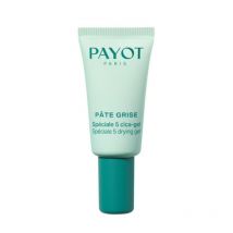 Gel Anti-Imperfection Cica-Gel Spéciale 5 Pâte Grise Payot 15ml