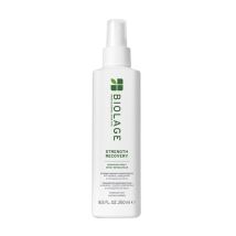 Spray sans rinçage cheveux abîmés Strength Recovery Biolage 250ml