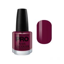 Vernis Classique 15 ml Mollon Pro Passion Plum - 15