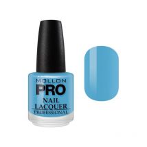 Vernis Classique 15 ml Mollon Pro Vichy - 229