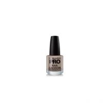 Vernis Classique 15 ml Mollon Pro Light Silver - 72