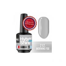 Mini Vernis Semi-Permanent Hybrid Shine Mollon Pro 8ml 212