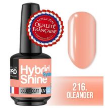 Mini Vernis Semi-Permanent Hybrid Shine Mollon Pro 8ml 216