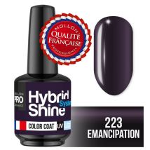 Mini Vernis Semi-Permanent Hybrid Shine Mollon Pro 8ml 223