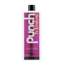 Shampooing Punch Ta Couleur Cheveux Colorés 500 ML - Ducastel
