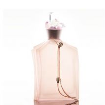 Stella Cadente - Miss Me Discrete Eau De Toilette Eau De Toilette - Vaporisateur 50ml