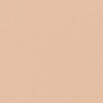 Clinique - Almost Powder Makeup Fond De Teint Poudre Spf15 N°2 Neutral Fair - 10 g