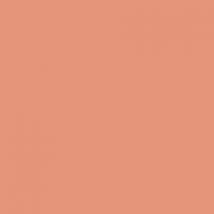 Clinique - Blushing Blush Powder Blush Fard À Joues Poudre 02 Innocent Peach