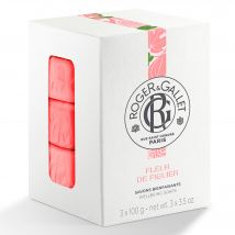 Roger & Gallet - Coffret Fleur De Figuier 3 Savons Bienfaisants - Naturel - 300 g