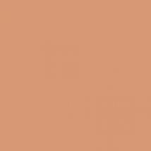 Shiseido - Fond De Teint Compact Protecteur Solaire Fond De Teint Compact Ivoire Moyen - Spk30 - 12 g