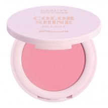 Beauty Success - Color Shine Blush Poudre N°02 Crazy Candy