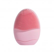 Beauty Success - Brosse Visage Brosse