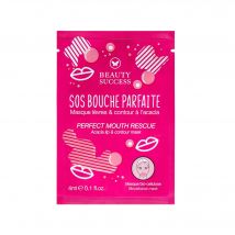 Beauty Success - Masque Lèvres Sos Bouche Parfaite Masque Tissu Lèvres - 4 ml