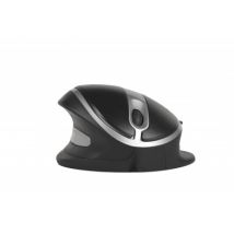 Souris ergonomique Oyster Mouse sans fil