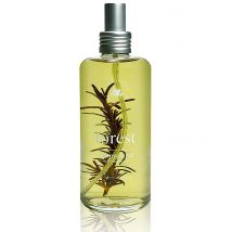 Jimmy Boyd Perfume - Forest