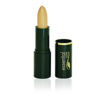 Odylique Correcteur de Teint / Anti-Cernes (Medium)