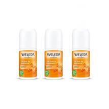Weleda Duindoorn 24h Roll-On Deodorant Voordeelset