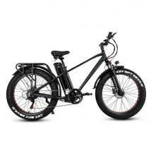 Ride66 RX30 Elektrisches Fatbike 26 Zoll 1000W 48V 21AH, 25KM/H