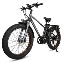 Ride66 RX30 Elektrisches Fatbike 26 Zoll 1000W 48V 21AH, 25KM/H