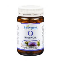 BioProphyl Leverkracht 60 vegetarische capsules met choline, silymarine uit mariadistelzaden en extracten van artisjok, paardenbloem en alsem
