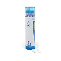 RHUS TOXICODENDRON 30c 80 Kügelchen