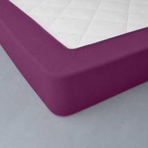 Drap-housse uni flanelle bonnets 32 cm - Blancheporte