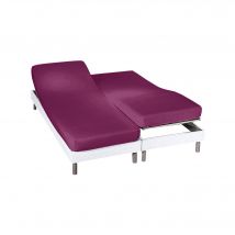 Drap-housse uni sommier articulé flanelle bonnets 26 cm - Violet - Coton/flanelle - Colombine - Blancheporte