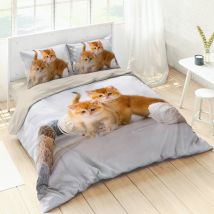 Linge de lit Chaton coton - Blancheporte