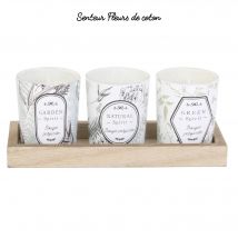3 bougies parfumées avec présentoir bois, senteur coton - Blancheporte