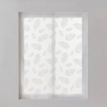 Vitrage passe-tringle motif plumes - Blancheporte