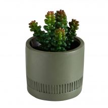 Plante verte artificielle et pot en ciment - Blancheporte