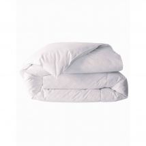 Couette naturelle duvet premier prix 300 g/m² - Blancheporte