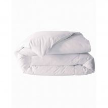 Couette en plumes et duvet premier prix 300 g/m² - Blancheporte