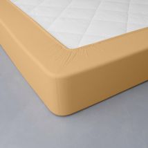 Drap-housse uni percale bonnets 40 cm - Blancheporte