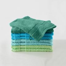 Gant de toilette camaïeu lagon - lot de 8 - Vert - Coton - Colombine - Blancheporte