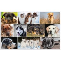 HERMA Schreibunterlage , Hunde, , (B)550 x (H)350 mm