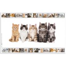 HERMA Schreibunterlage , Katzen, , (B)550 x (H)350 mm
