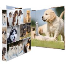 HERMA Ringbuch , Animals,  - Hunde, DIN A4, 2-Ring-Mechanik