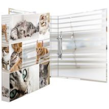 HERMA Ringbuch , Animals,  - Katzen, DIN A4, 2-Ring-Mechanik