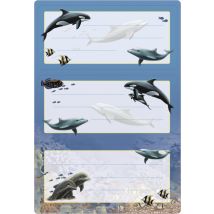 HERMA Buchetiketten , Delfine, , 76 x 35 mm