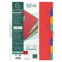 EXACOMPTA Karton-Register, DIN A4, 10-teilig