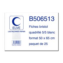 ELVE Karteikarten, 500 x 650 mm, blanko, weiB,