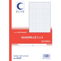 ELVE Notizbuch, 140 x 210 mm, kariert (5/5), 3 x 50 Blatt