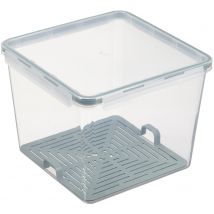 plast team Frischhaltedose Amsterdam mit Tropfschale, grün