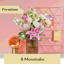 6-Monatsabo Premium