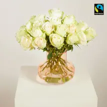 Weiße Rosen M