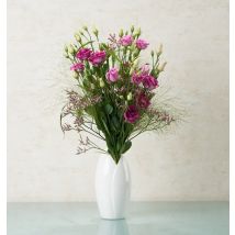 "Liebreiz lila Edition"