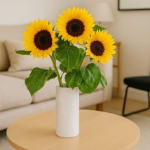 Sonnenblumen
