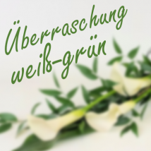 "Traum in Weiß-Grün"